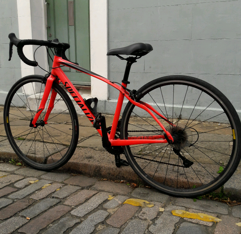 specialized dolce 2019 endurance road bike